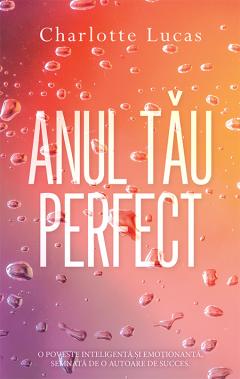 Anul tău perfect : [roman] Partea 1