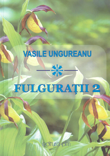 Fulguraţii : [versuri, însemnări, evocări]