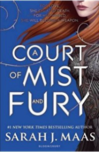 A Court of Mist and Fury : [novel]