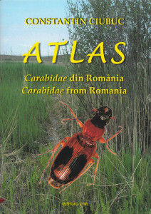 Atlas : Carabidae din România = Carabidae from Romania