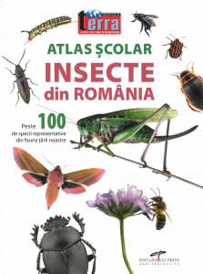 ATLAS școlar - Insecte din România : peste 100 de specii reprezentative din fauna țării noastre