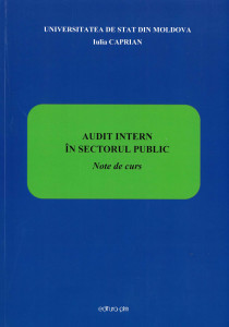 Audit intern în sectorul public : note de curs