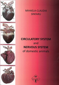Circulatory system and nervous system of domestic animals