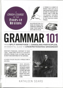 Grammar 101 : From Split Infinitives to Dangling Participles, an Essential Guide to Understanding Grammar