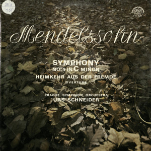 Symphony No. 1 in C minor, Op. 11 : Die heimkehr aus der fremde, Overture, Op. 89