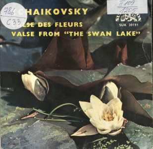 Valse des fleurs; Valse from "The Swan Lake"